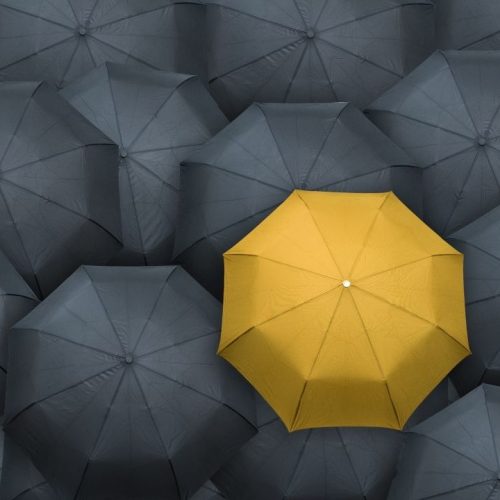 Innovation for Leaders