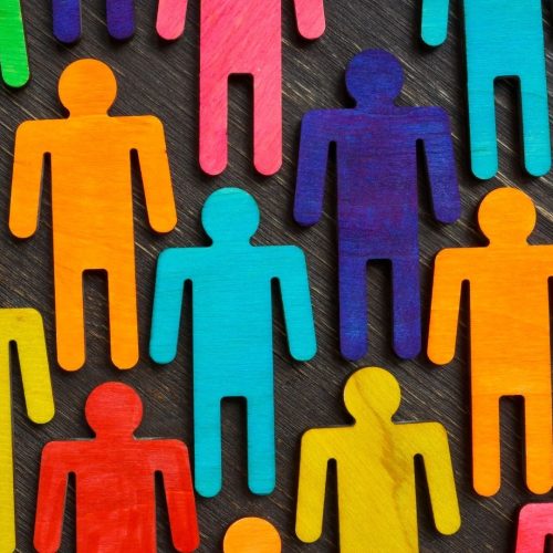 Innovating DEIB Policy and Practice